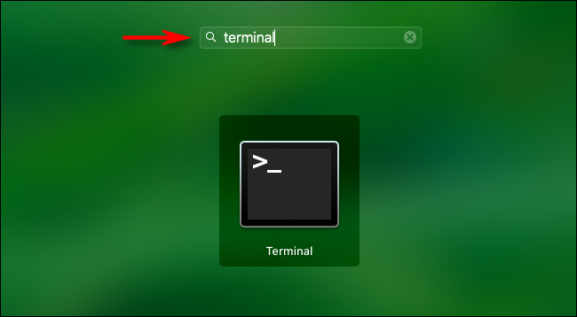 Launch app from terminal mac